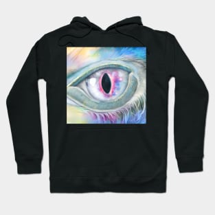 Iridescent hawk eye Hoodie